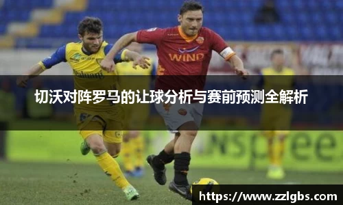 evo视讯登录入口.evo视讯官方网站